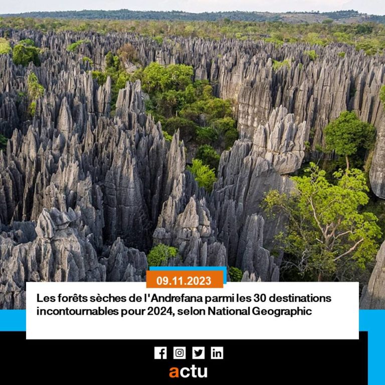 Lire la suite à propos de l’article Le magazine National Geographic classe les forêts sèches de l’Andrefana parmi les 30 destinations incontournables pour 2024.