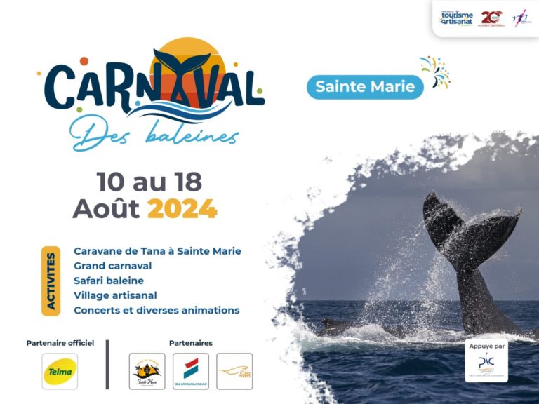 Lire la suite à propos de l’article Carnaval des baleines à Sainte Marie