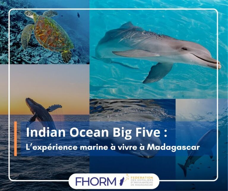 Lire la suite à propos de l’article 𝗘𝘁 𝘀𝗶 𝗹𝗲 𝗽𝗹𝘂𝘀 𝗴𝗿𝗮𝗻𝗱 𝘀𝗮𝗳𝗮𝗿𝗶 𝗱𝗲 𝗠𝗮𝗱𝗮𝗴𝗮𝘀𝗰𝗮𝗿… 𝘀𝗲 𝘁𝗿𝗼𝘂𝘃𝗮𝗶𝘁 𝘀𝗼𝘂𝘀 𝗹’𝗲𝗮𝘂 ?