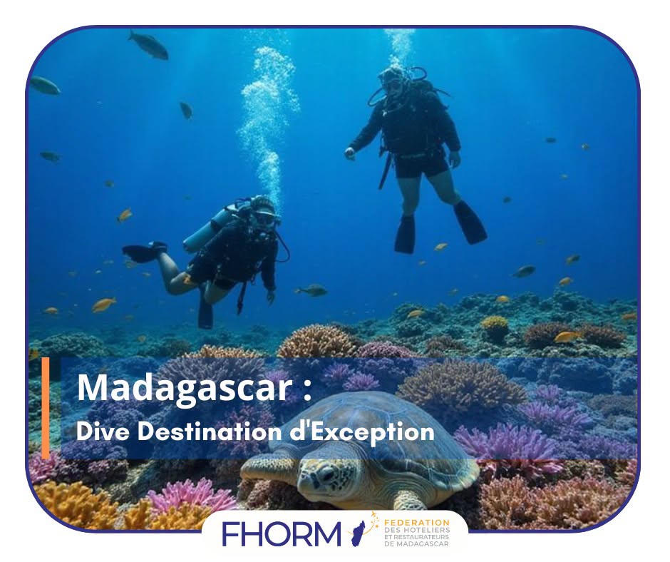 Madagascar : Dive Destination d'Exception
