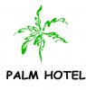 Logo Palm