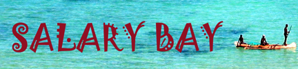 logo salary bay