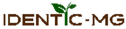 logo_identic_mg logo_identic_mg
